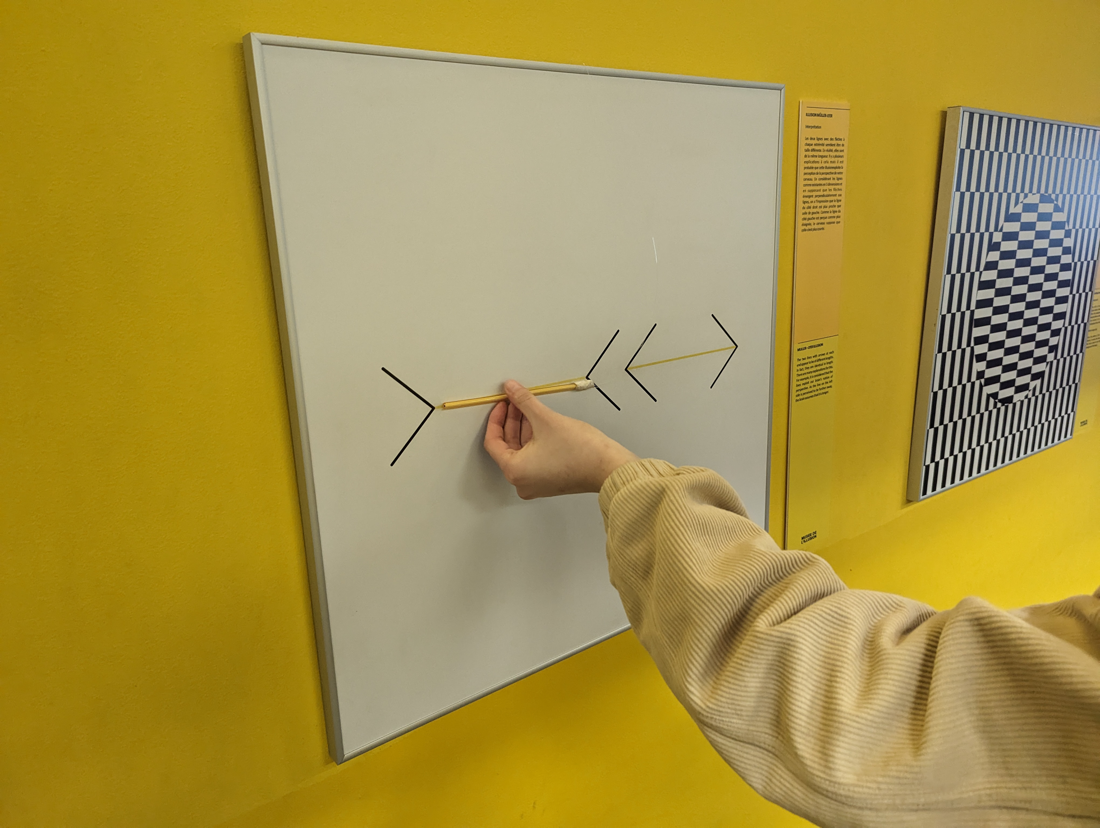 Musée de l'Illusion Arrow