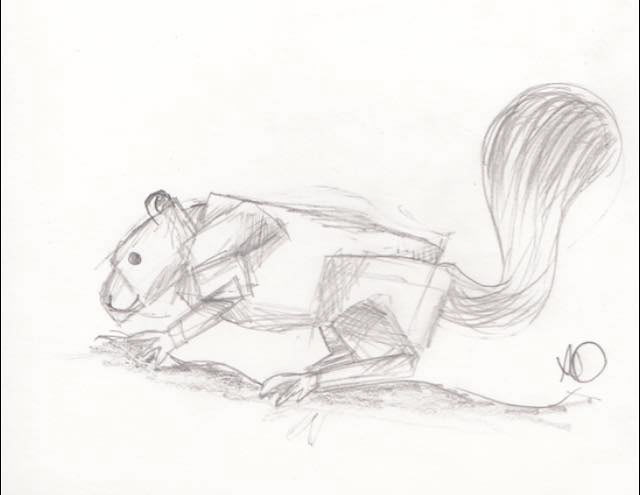 Squirrel