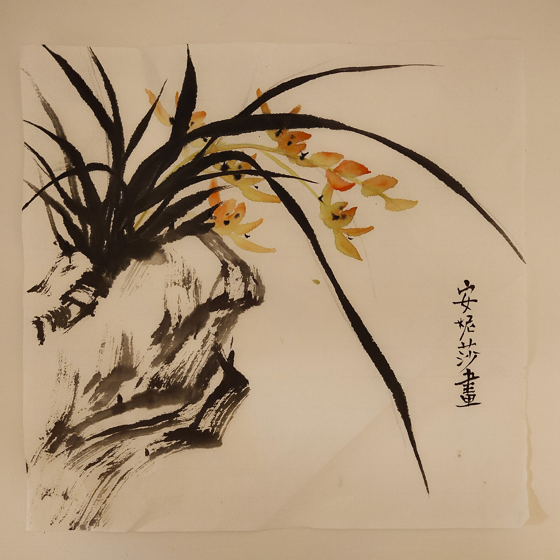 Grass and Flowers on Rock