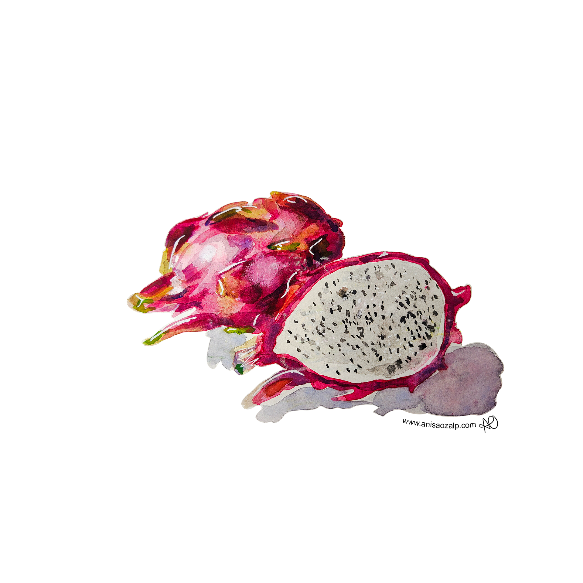 Fruit Sticker