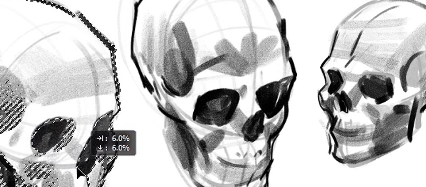 Skulls with no reference