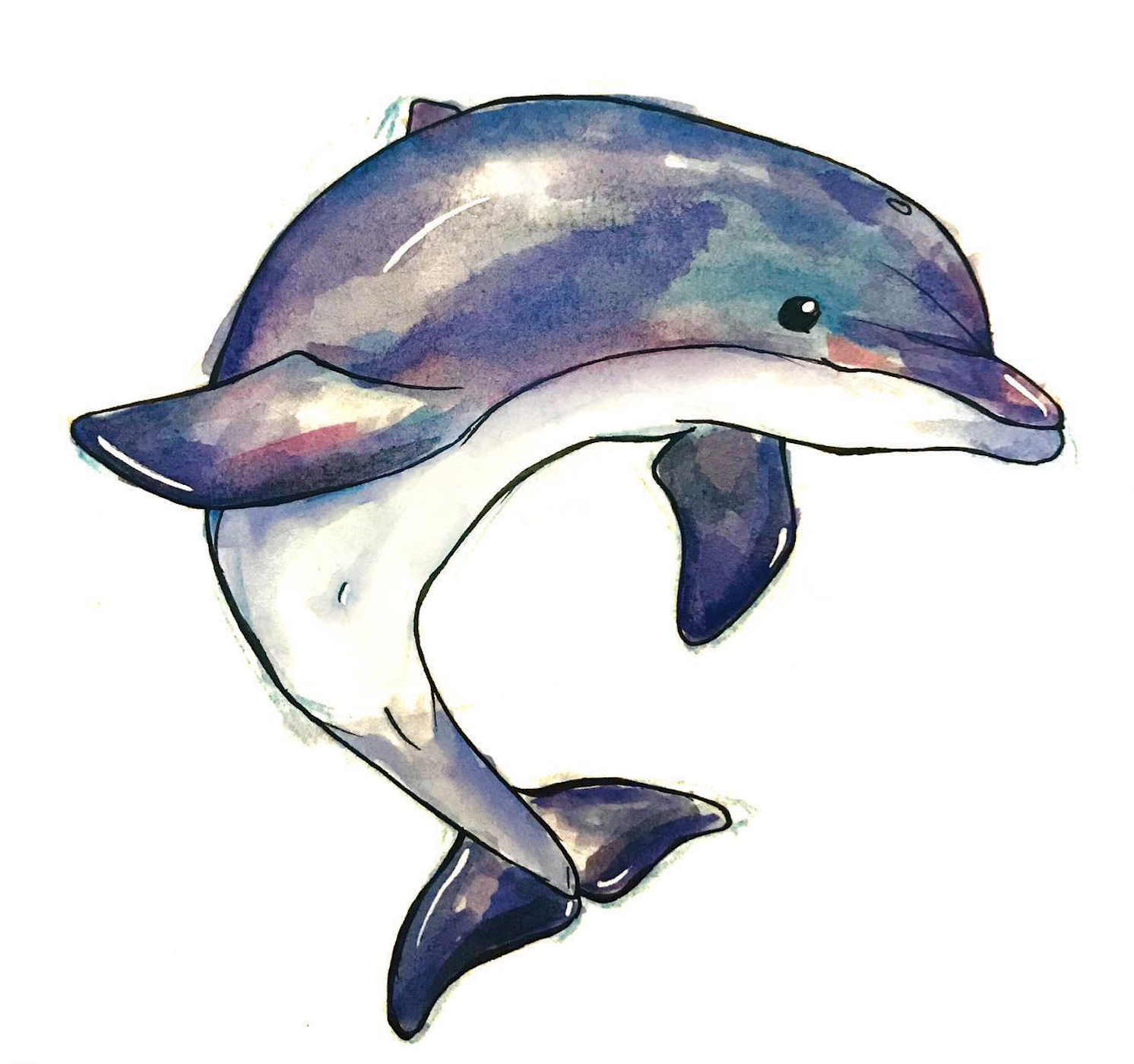 Dolphin Watercolor