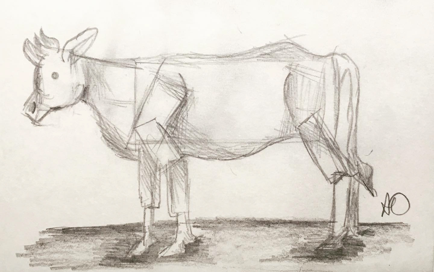 Cow