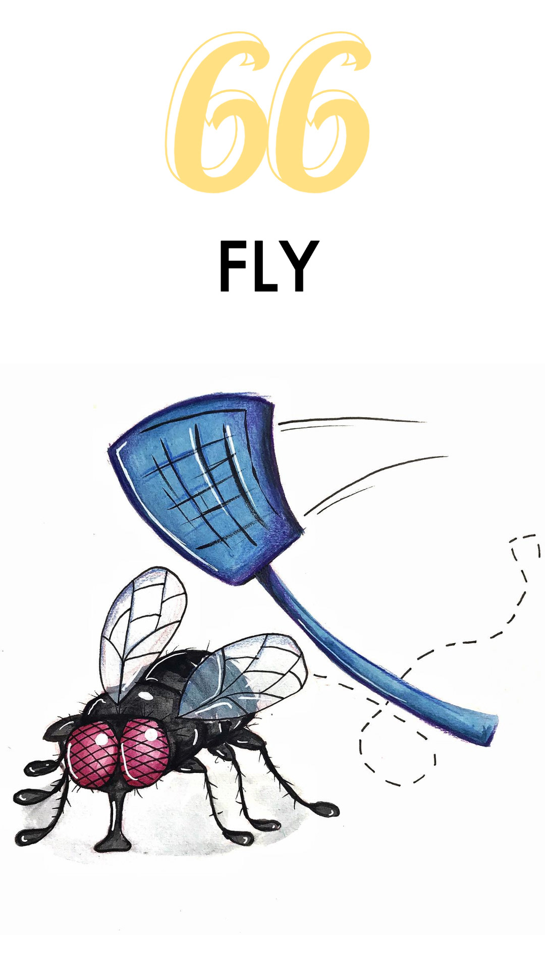 FLY
