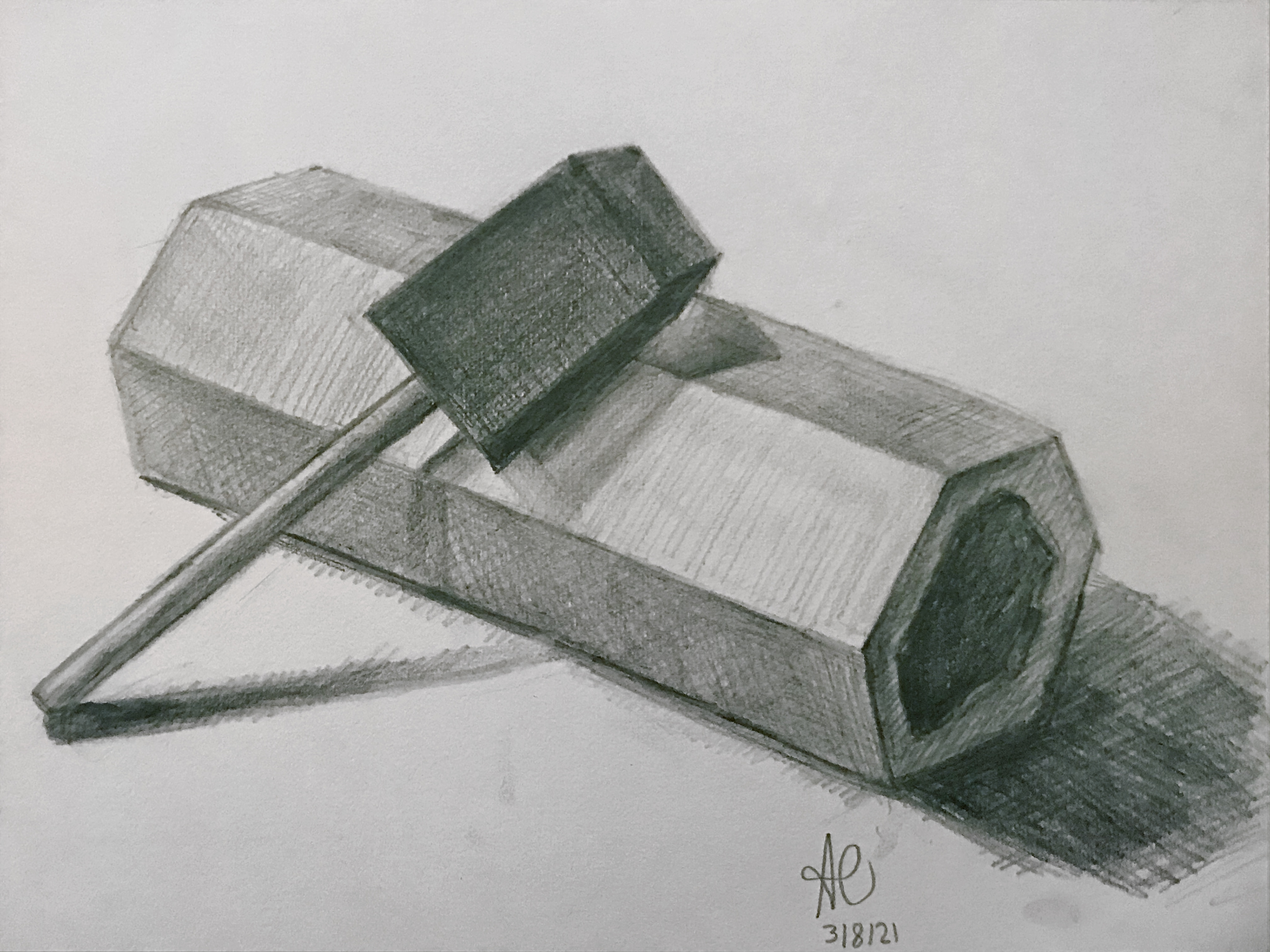Succulent Plant Still Life