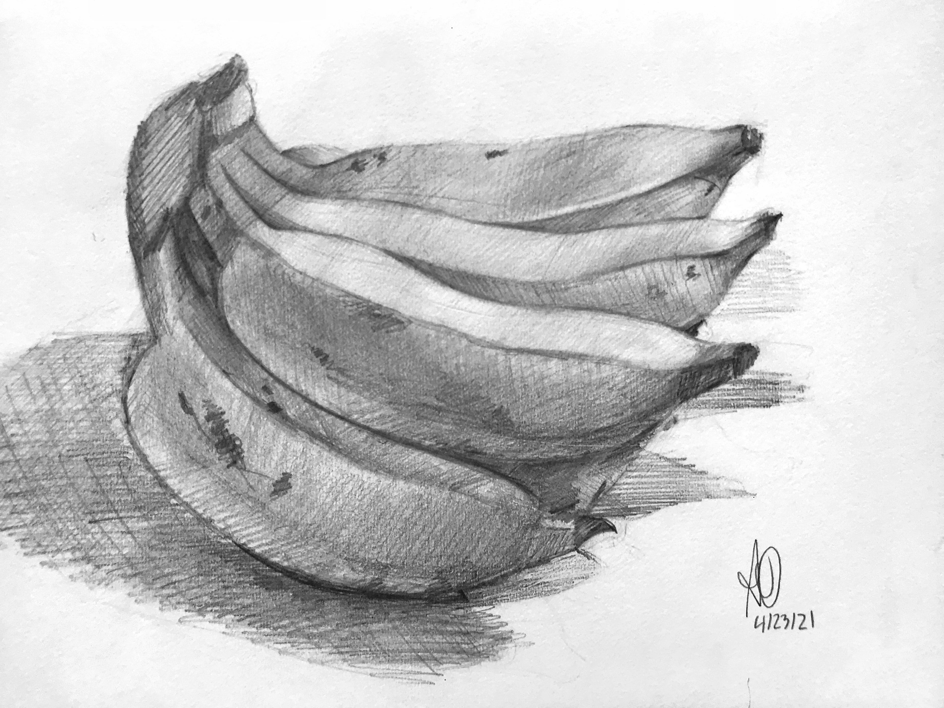 Bananas Still Life