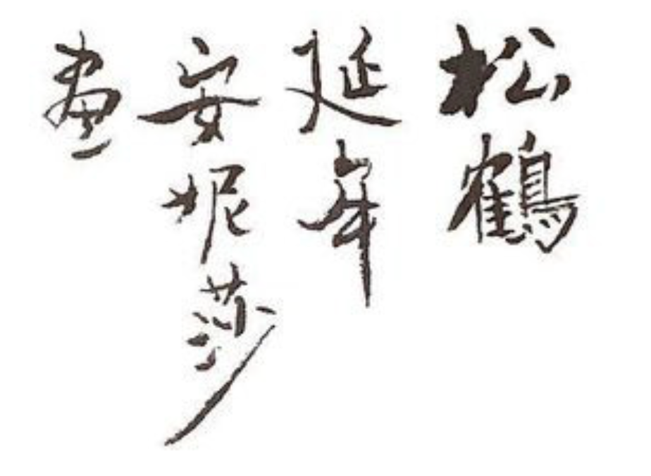 Anisa’s Signature