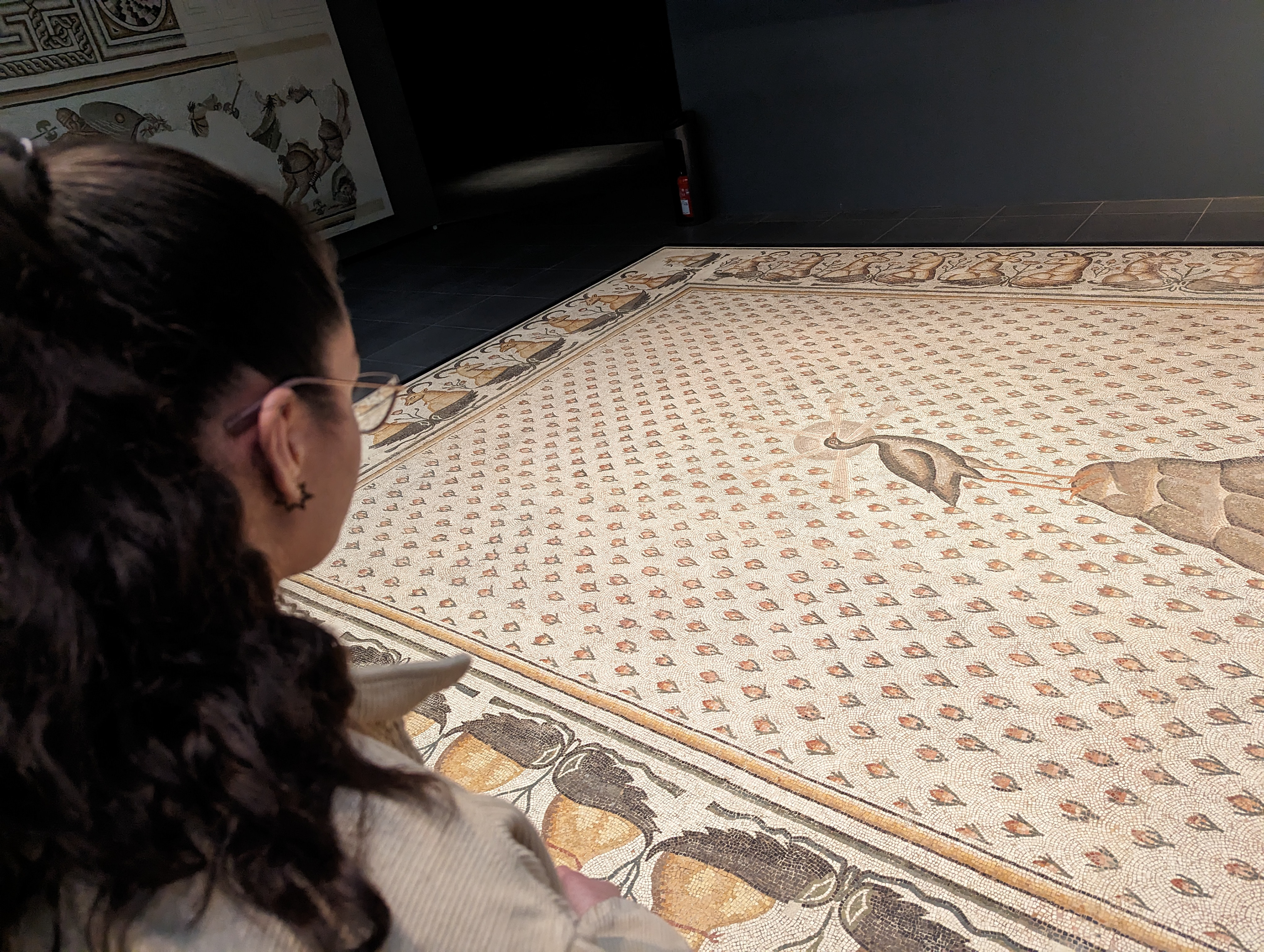 Roman Carpet