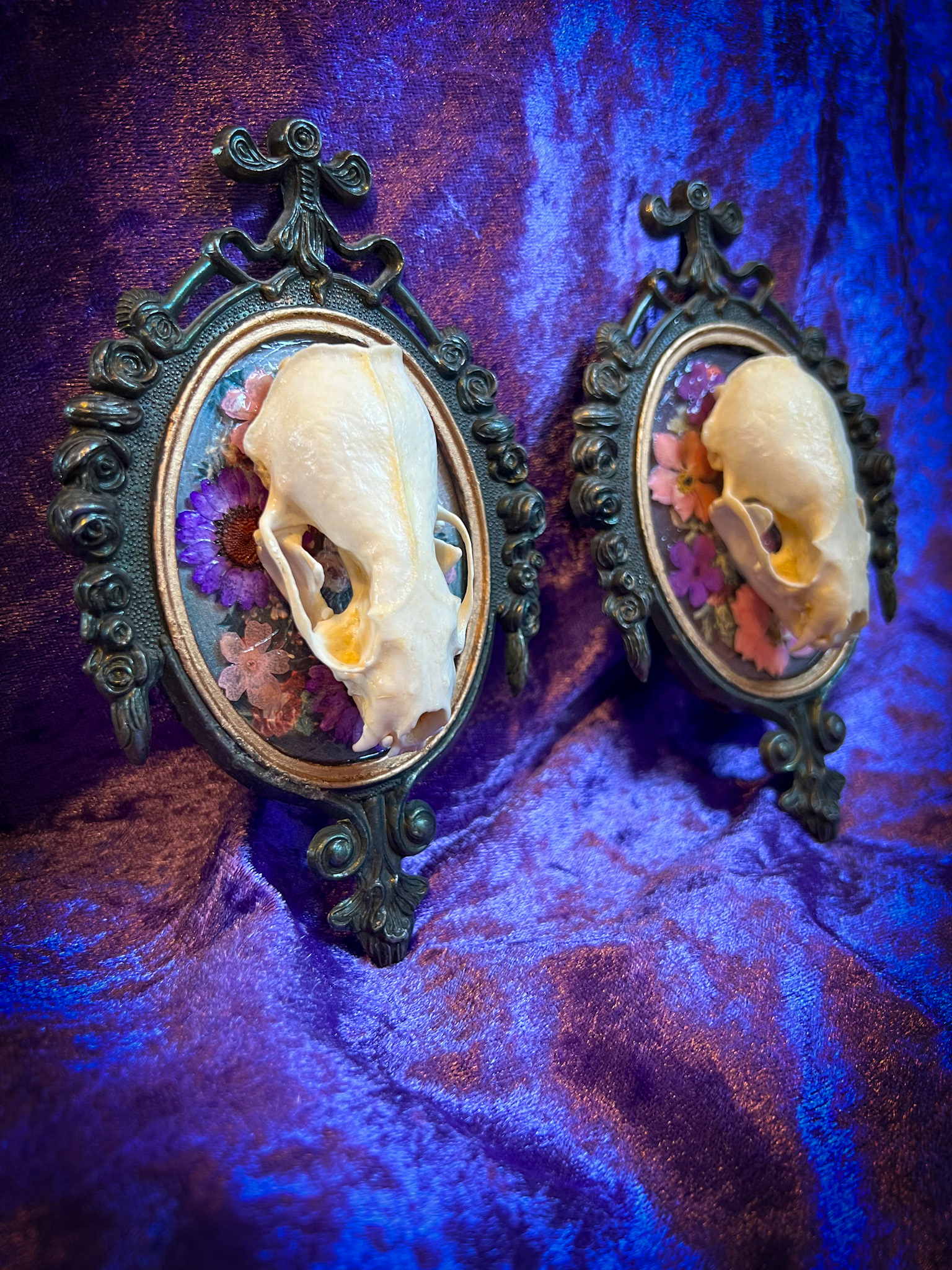 Two real mink skulls adorned with dried florals on vintage Italian frames accented in gold.