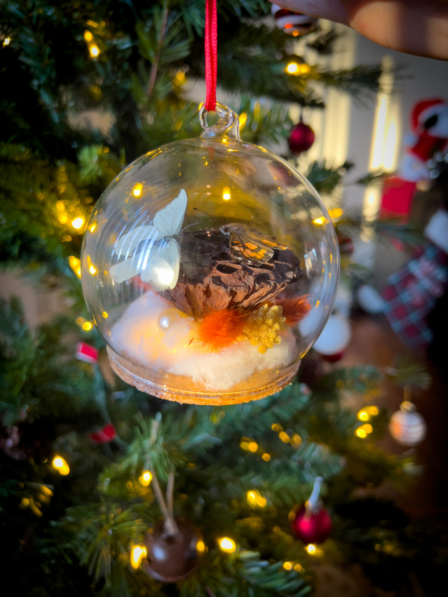 A Florida White and hand-raised Painted Lady butterfly rest on a lotus pod, surrounded by dried flowers, pearls, and glowing fairy lights. Perfect for adding festive charm to your holiday décor!