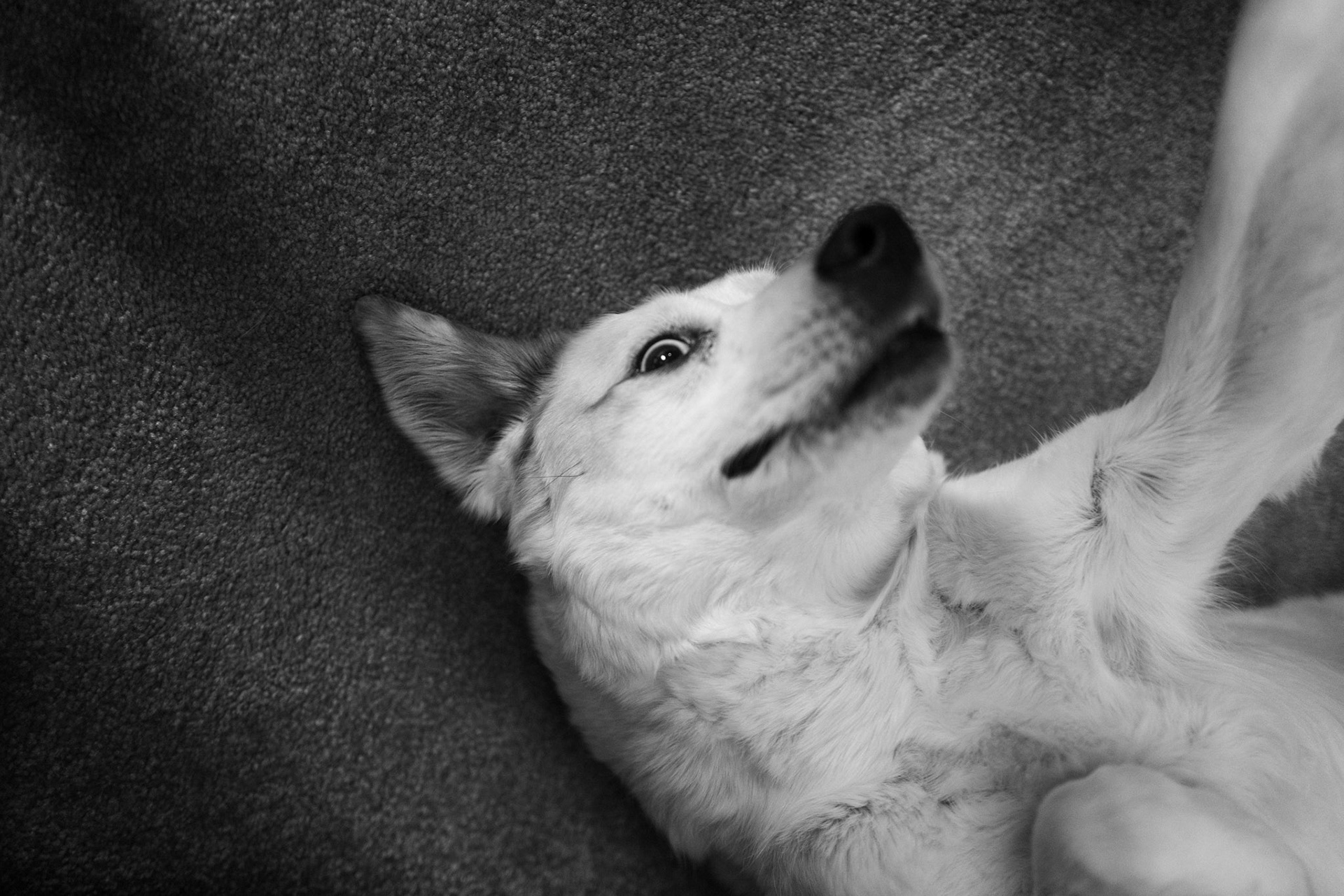 madison, connecticut