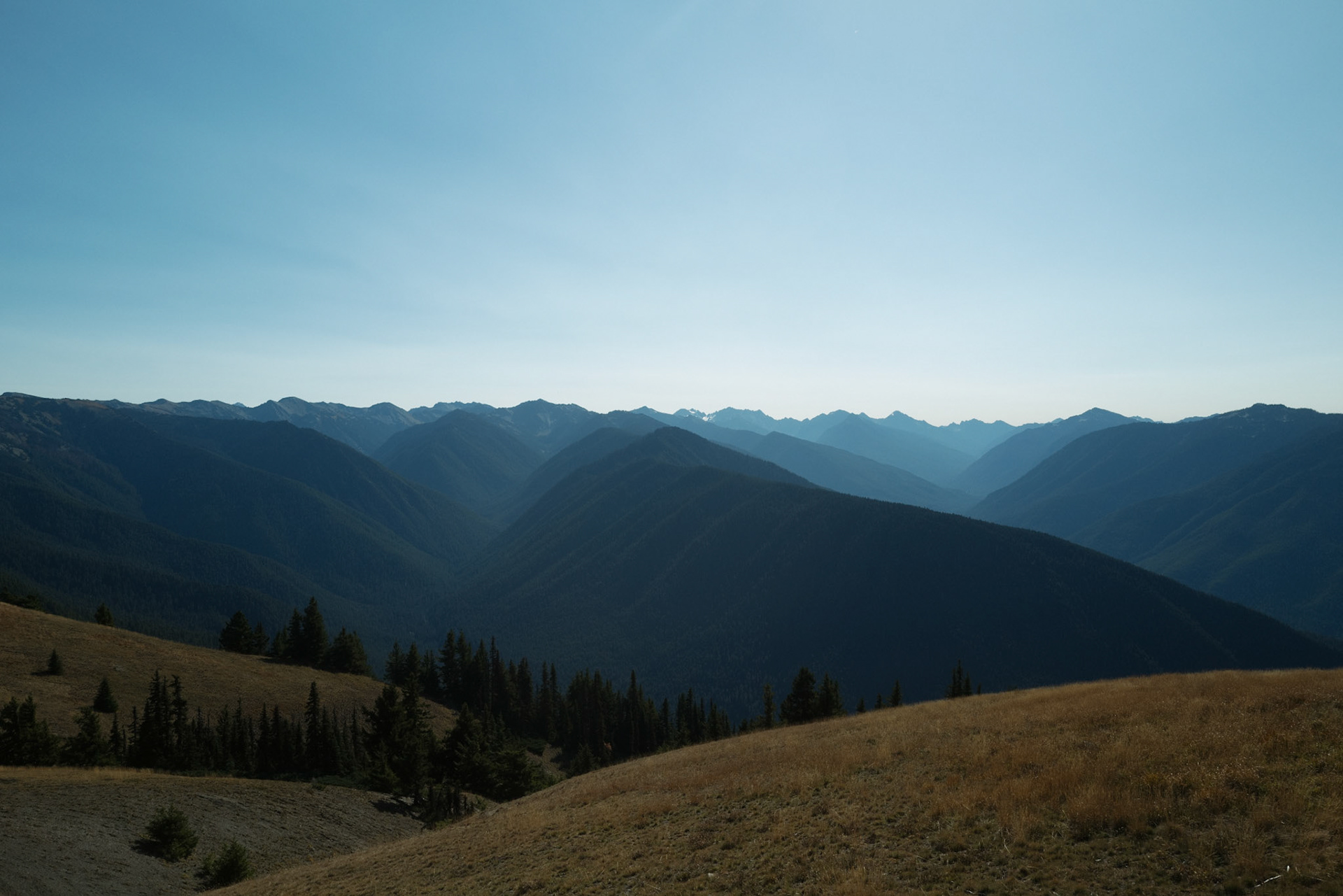 olympic national park