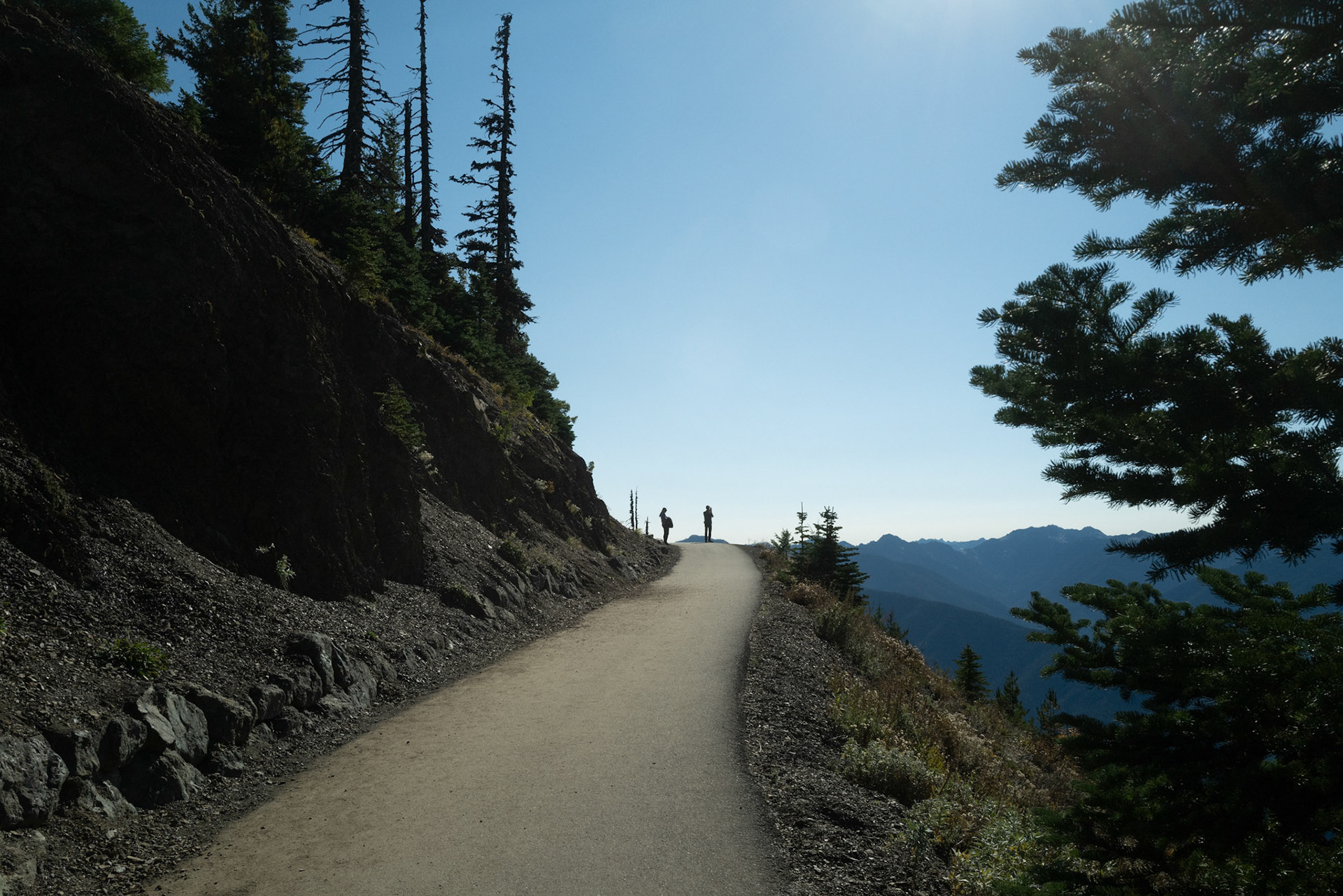 olympic national park
