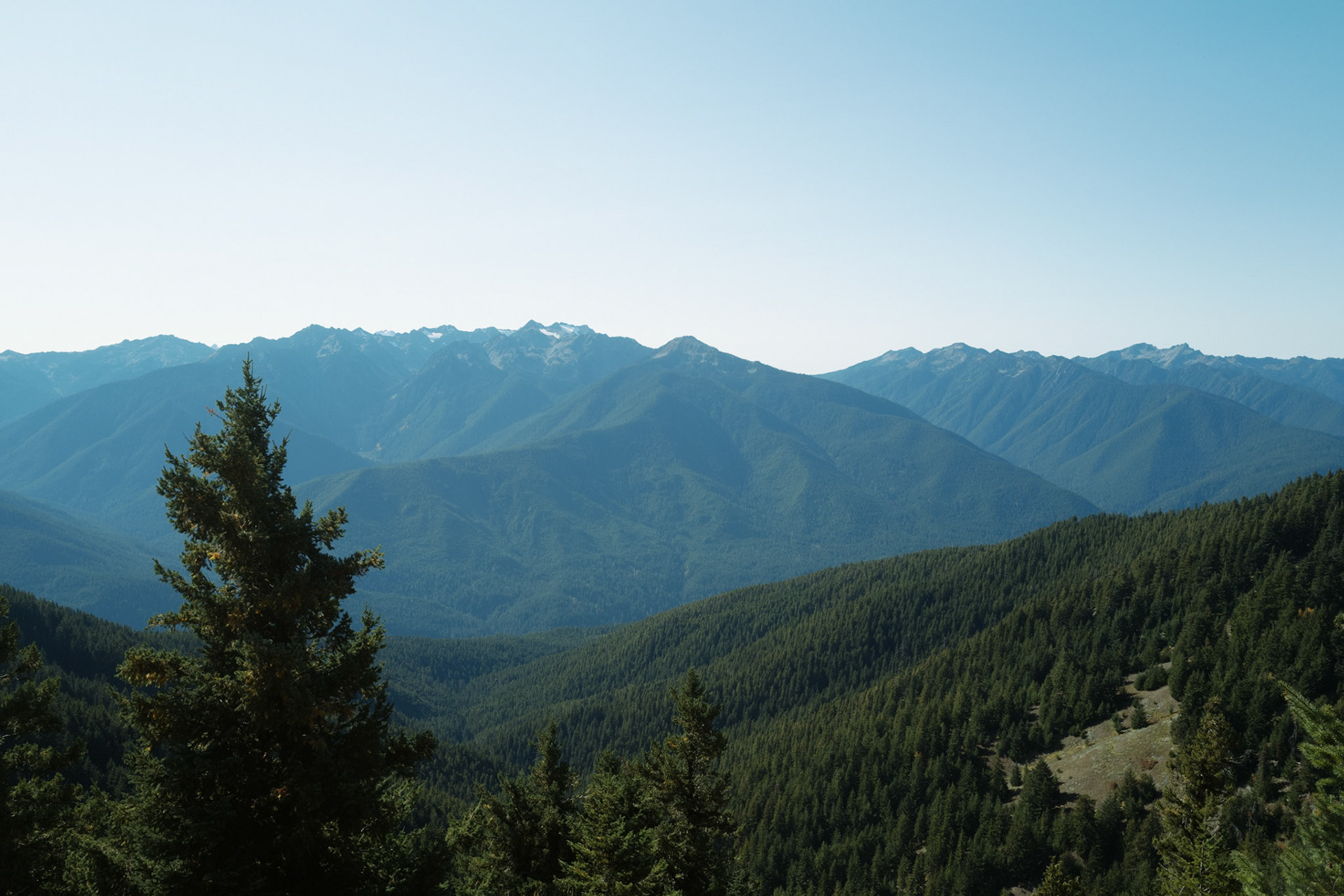 olympic national park