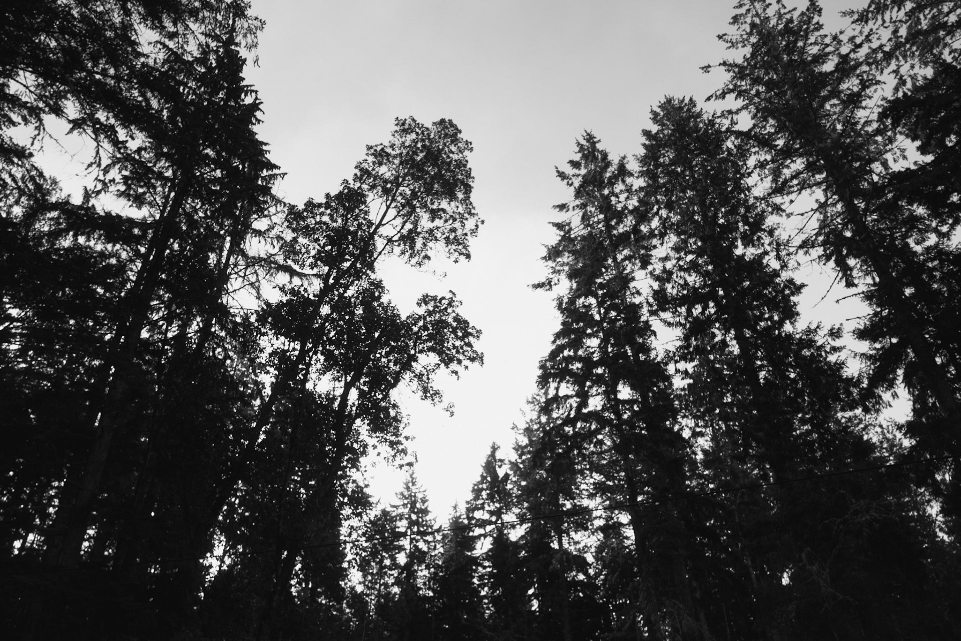 seabeck, washington