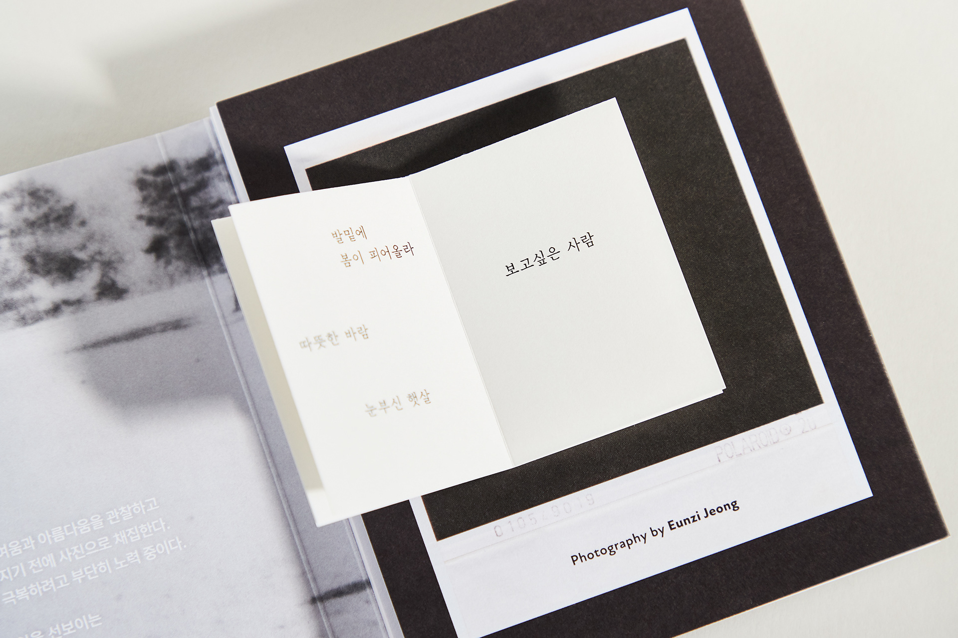 ⓒEunzi Jeong