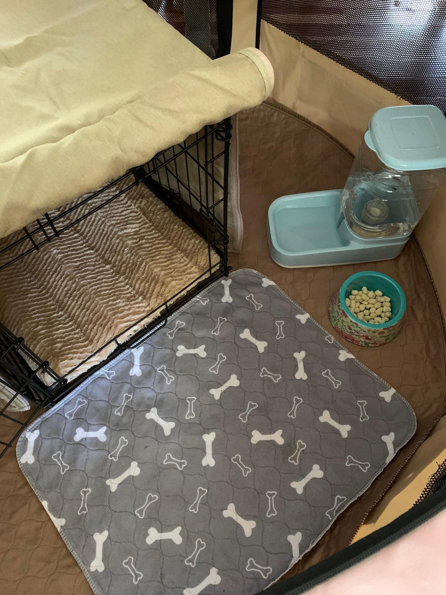 Puppy apartment for a "larger" smaller dog