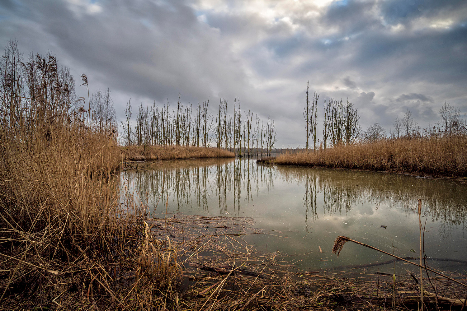 Biesbosch 2020