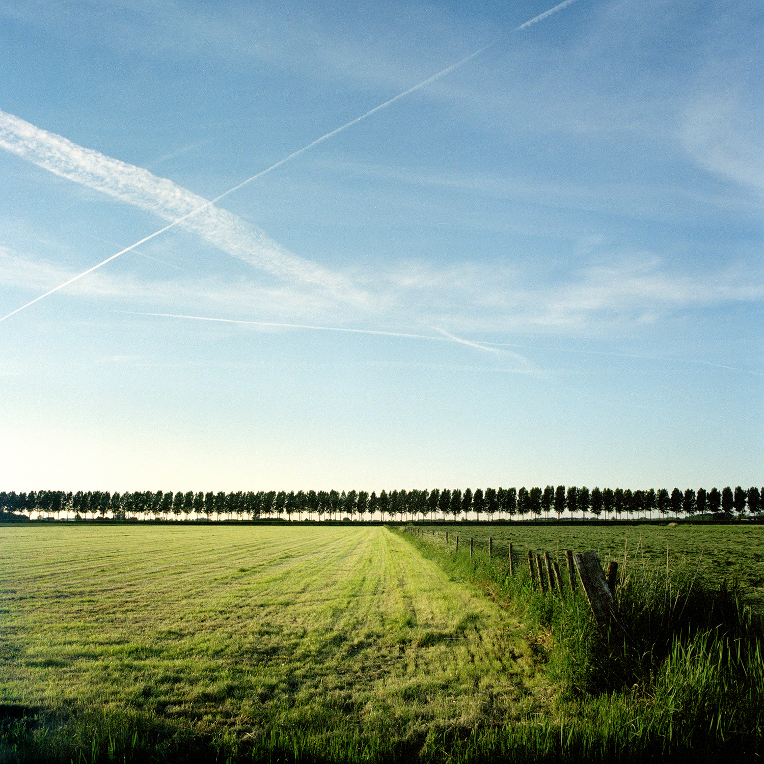 Zevenbergen 2006