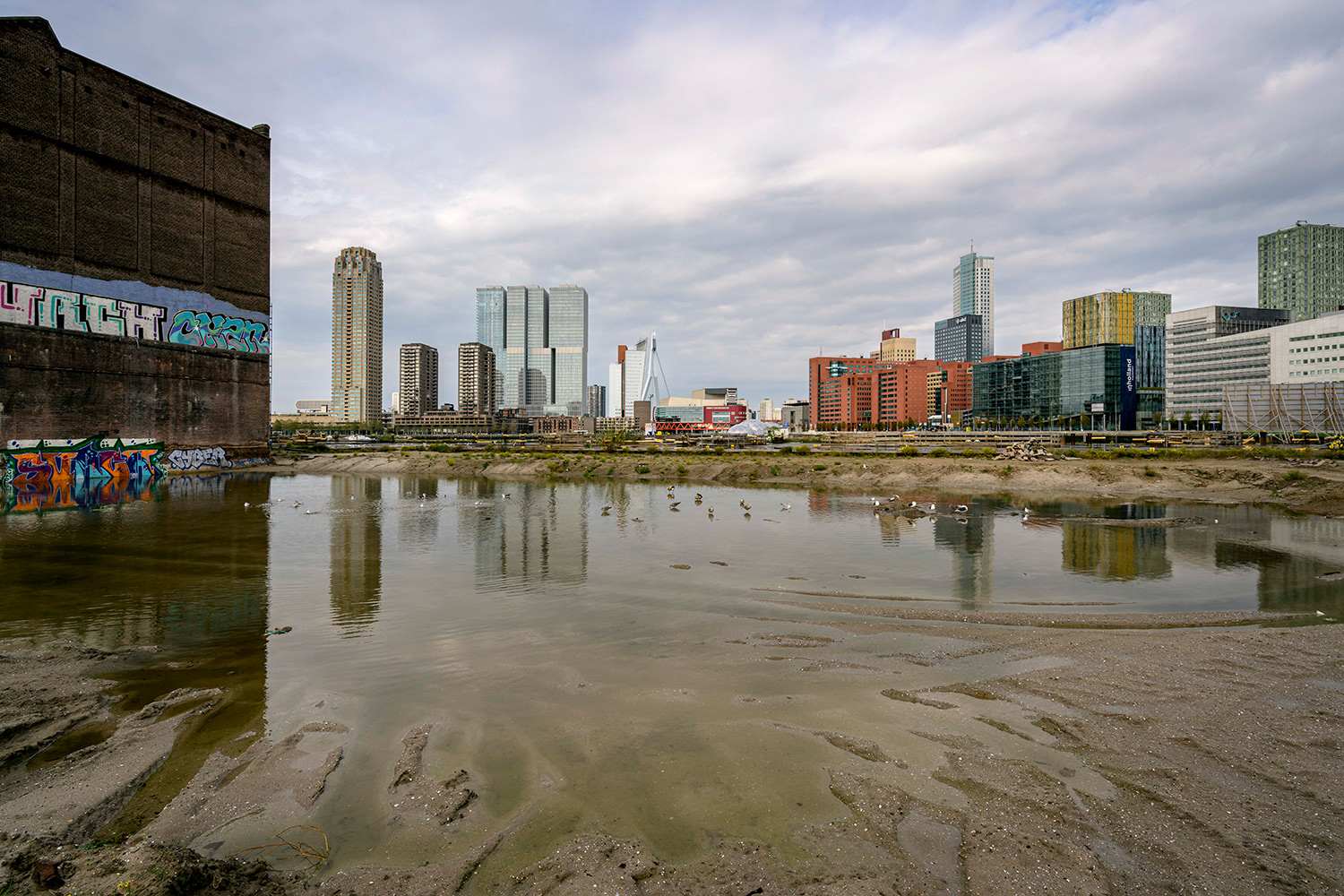 Rotterdam 2019