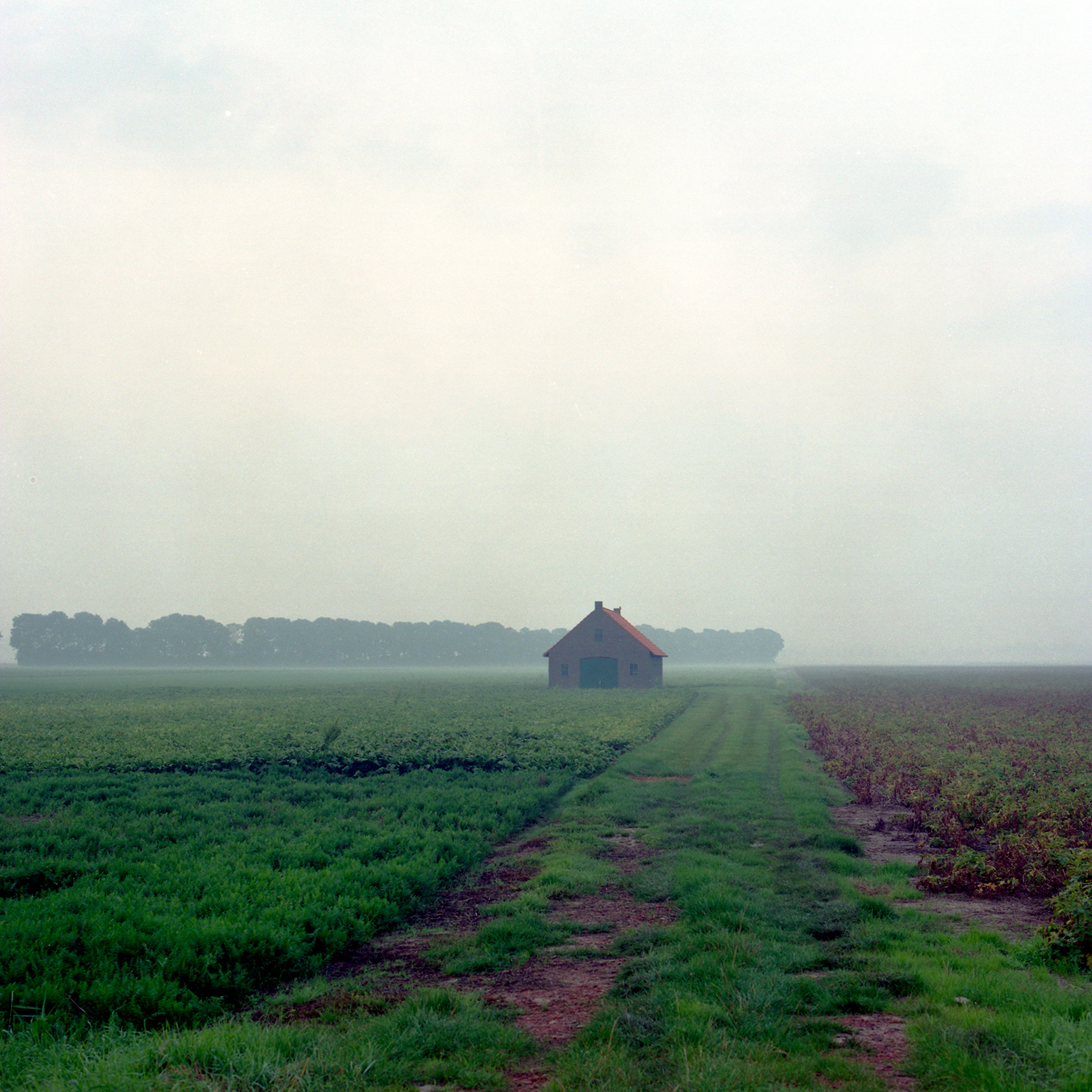 Lange Zwaluwe 2005