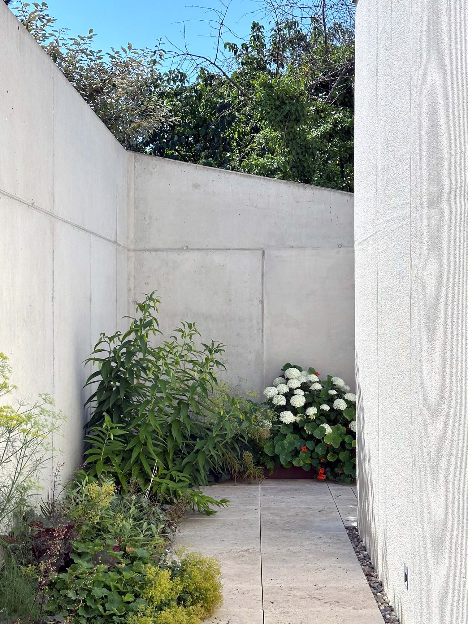 Neubau Einfamilienhaus (Hanglage) H16