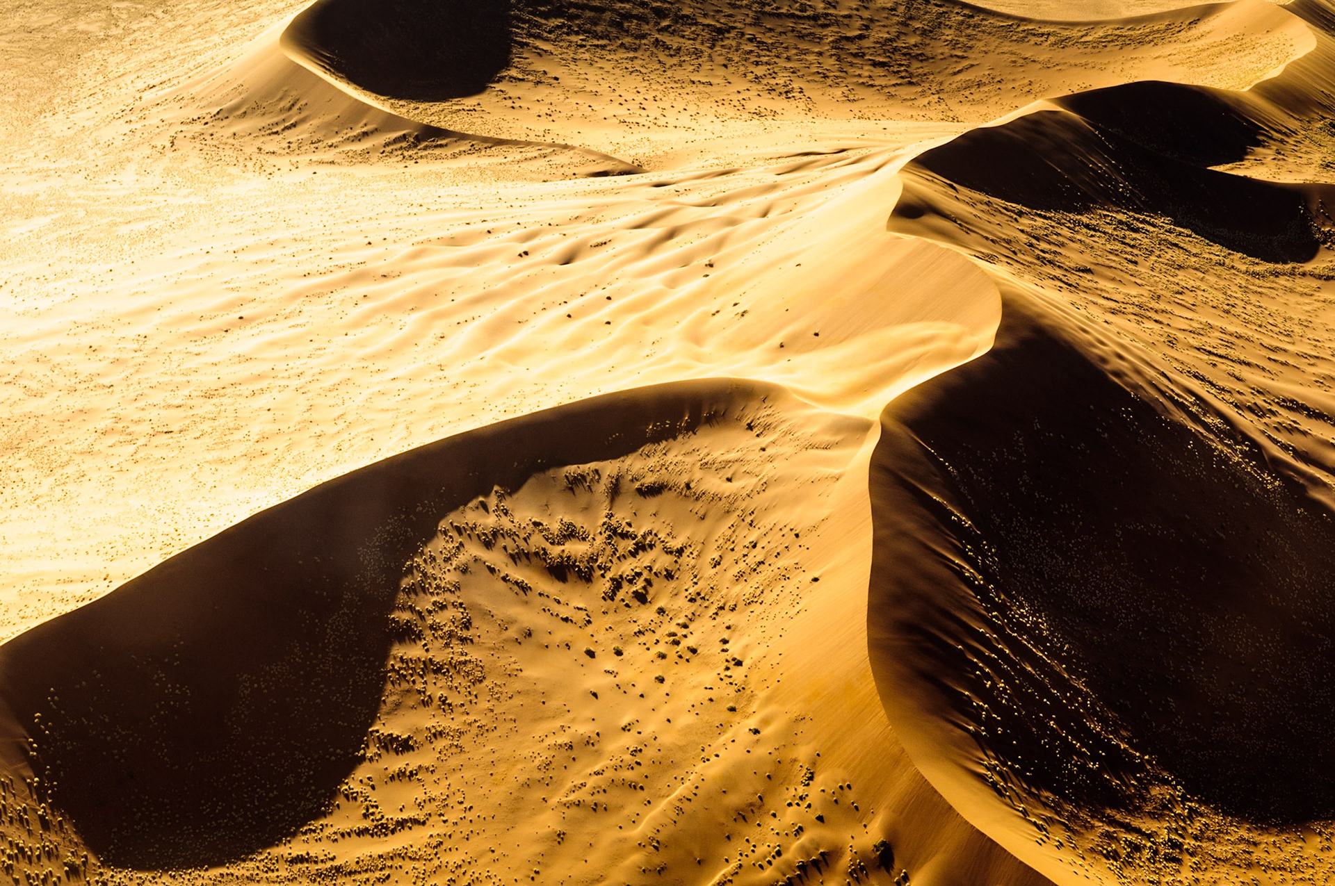 Gold Namib