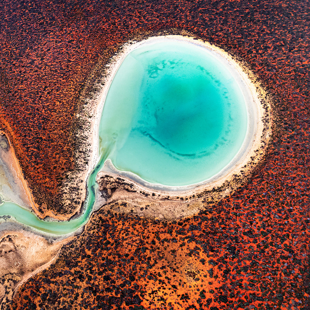 Blue Lagoon, Shark Bay