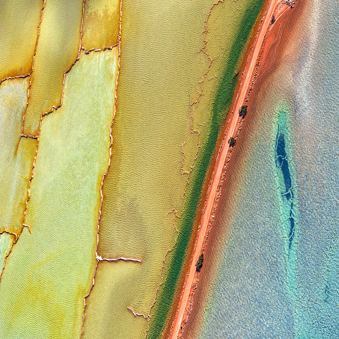 Divided, Shark Bay