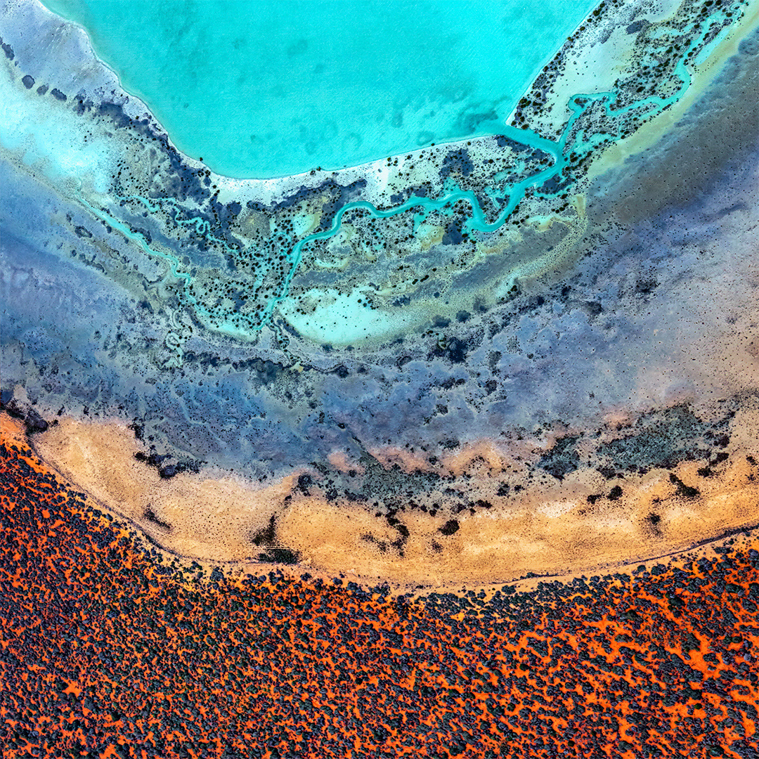 A Slice of Shark Bay