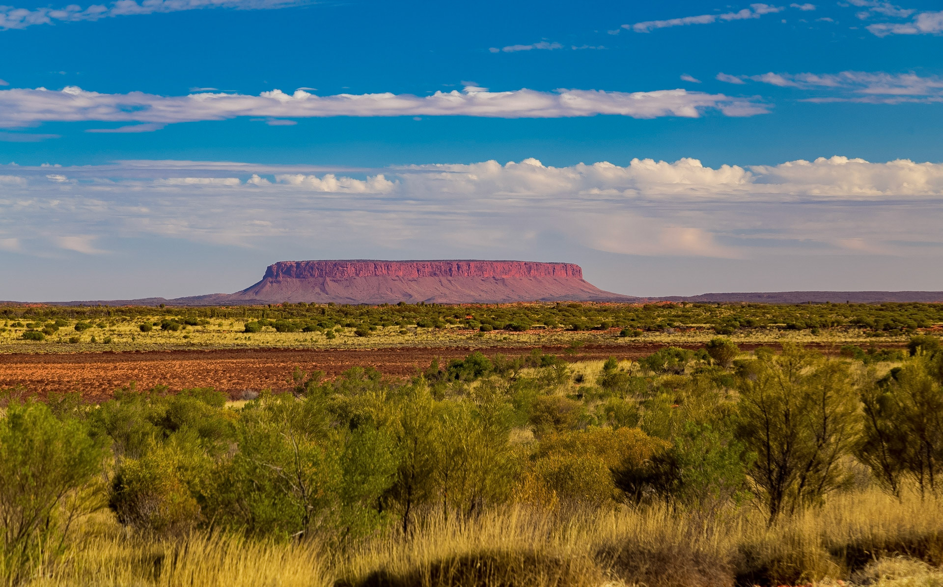 Mt Connor, Northern Territory