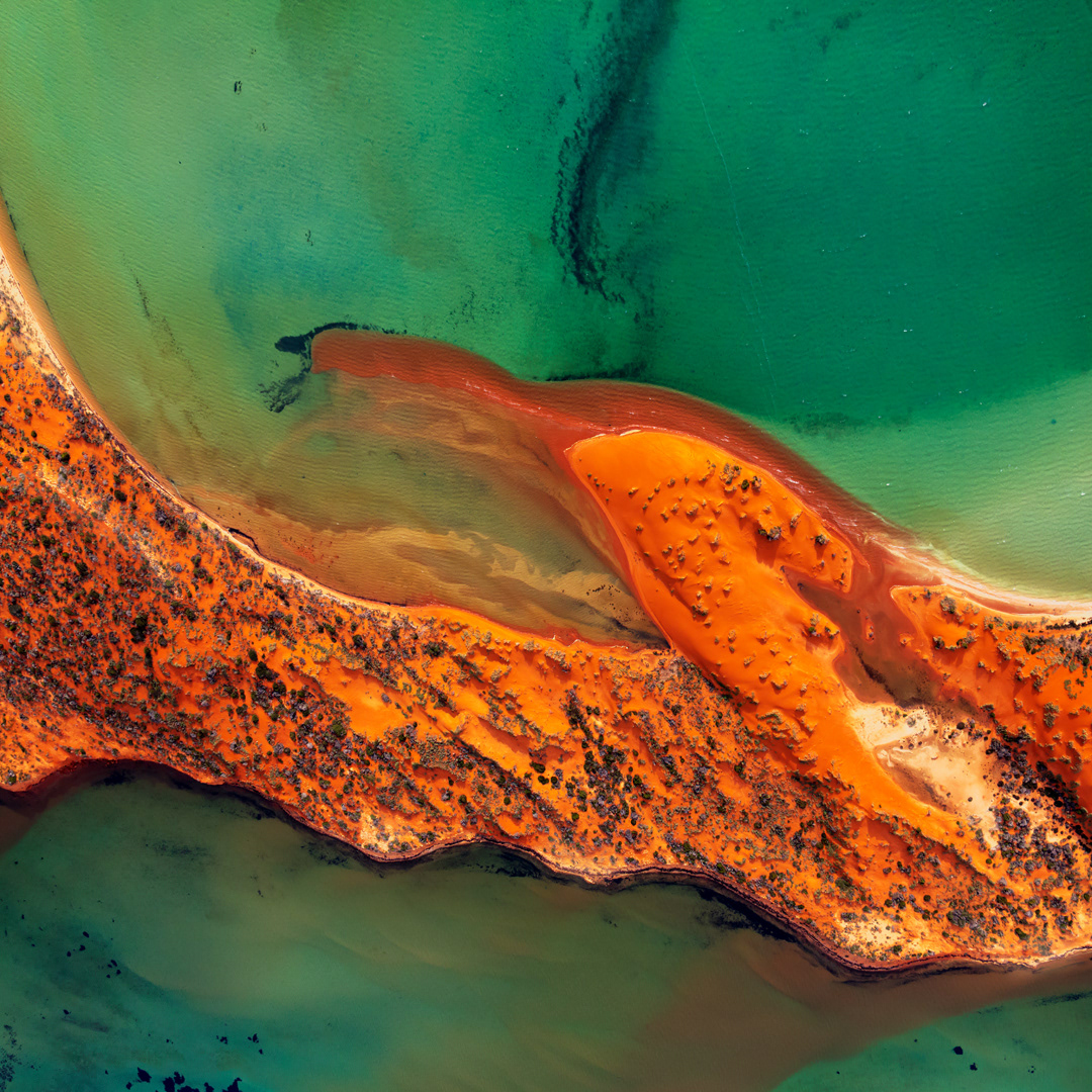Out of the Ashes, Shark Bay