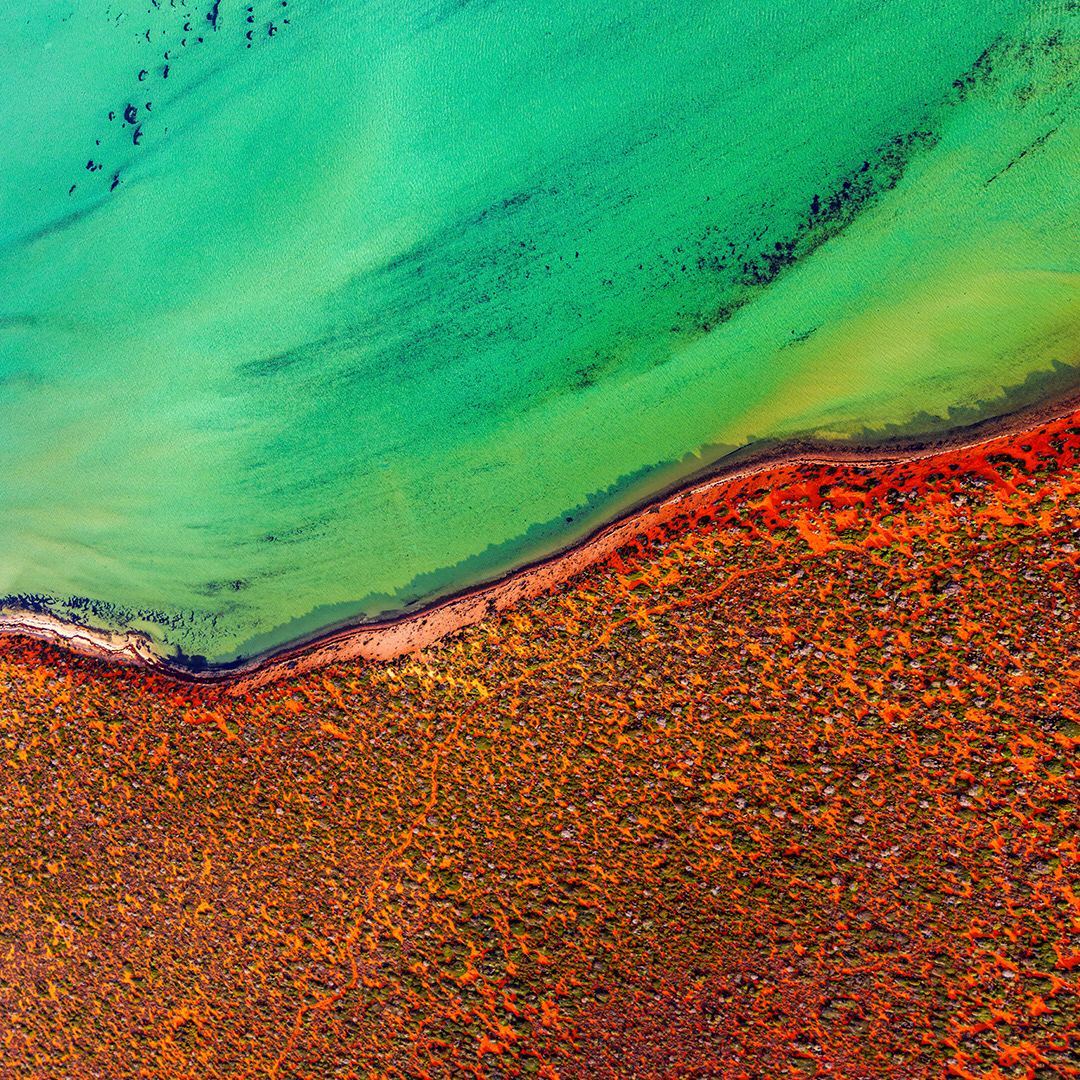 Wet and Dry, Shark Bay