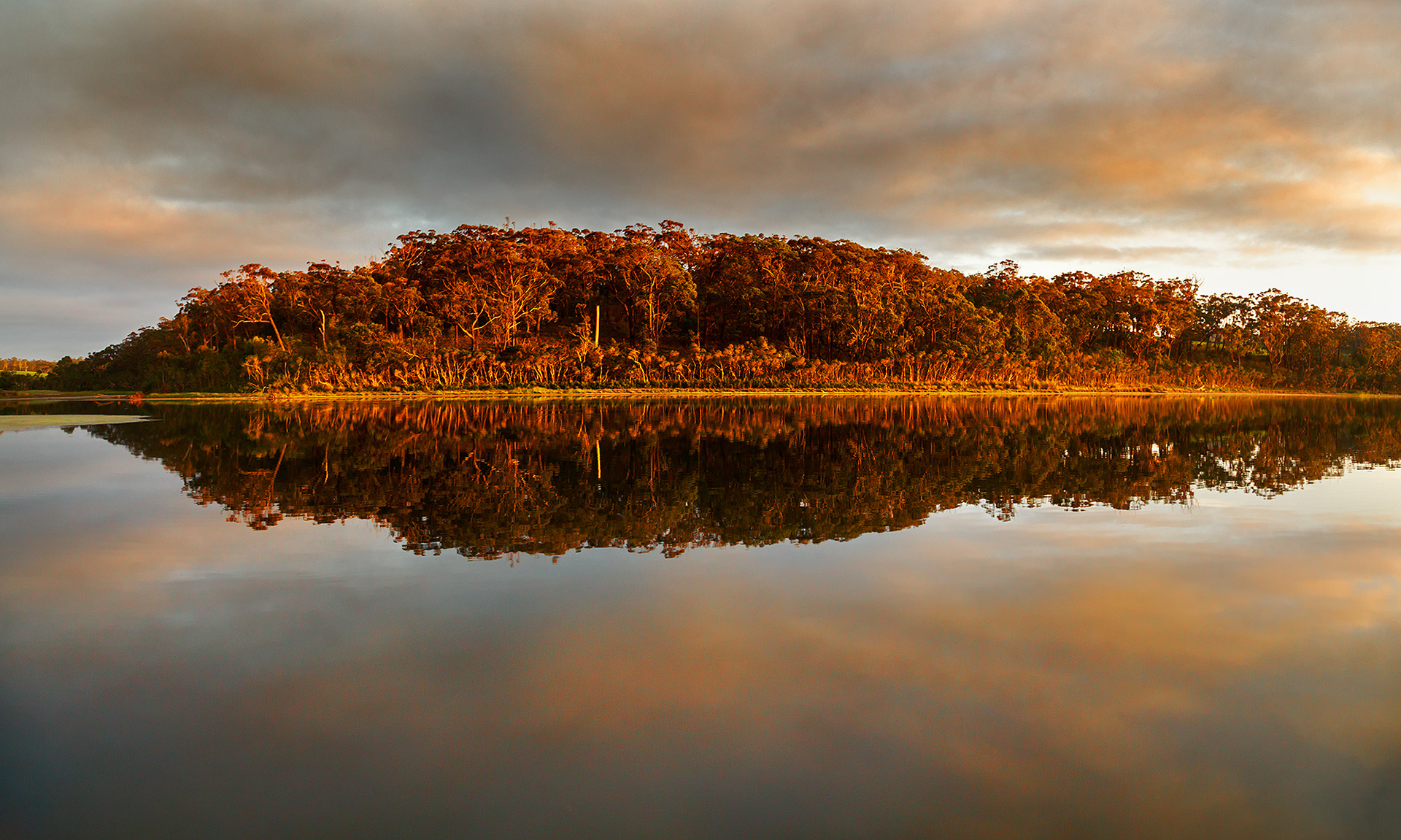 Sunrise Surprise, Lake Tyers