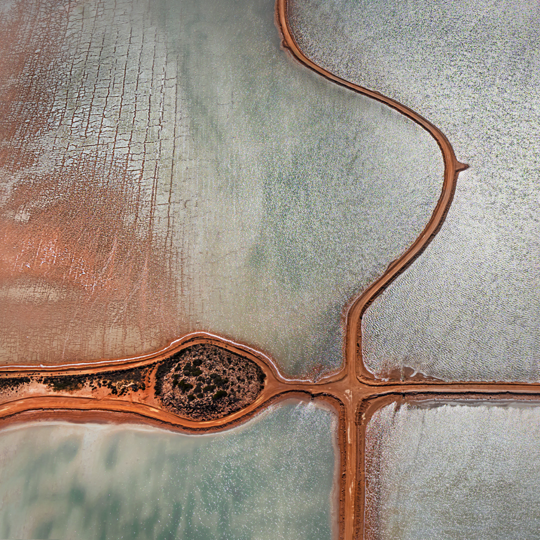Life Force, Shark Bay