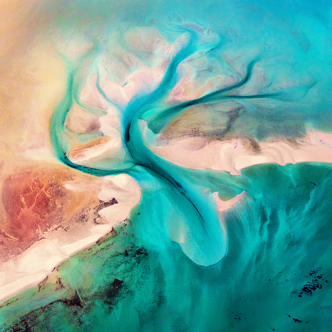 Deep Dive, Shark Bay