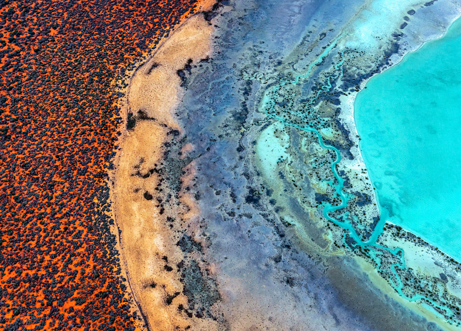 A Slice of Shark Bay