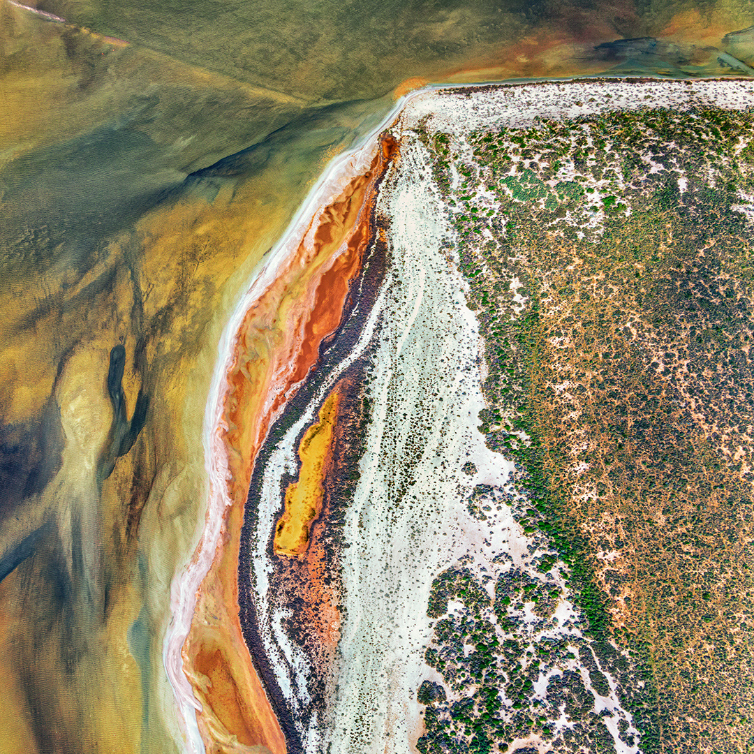 Protrusion, Shark Bay