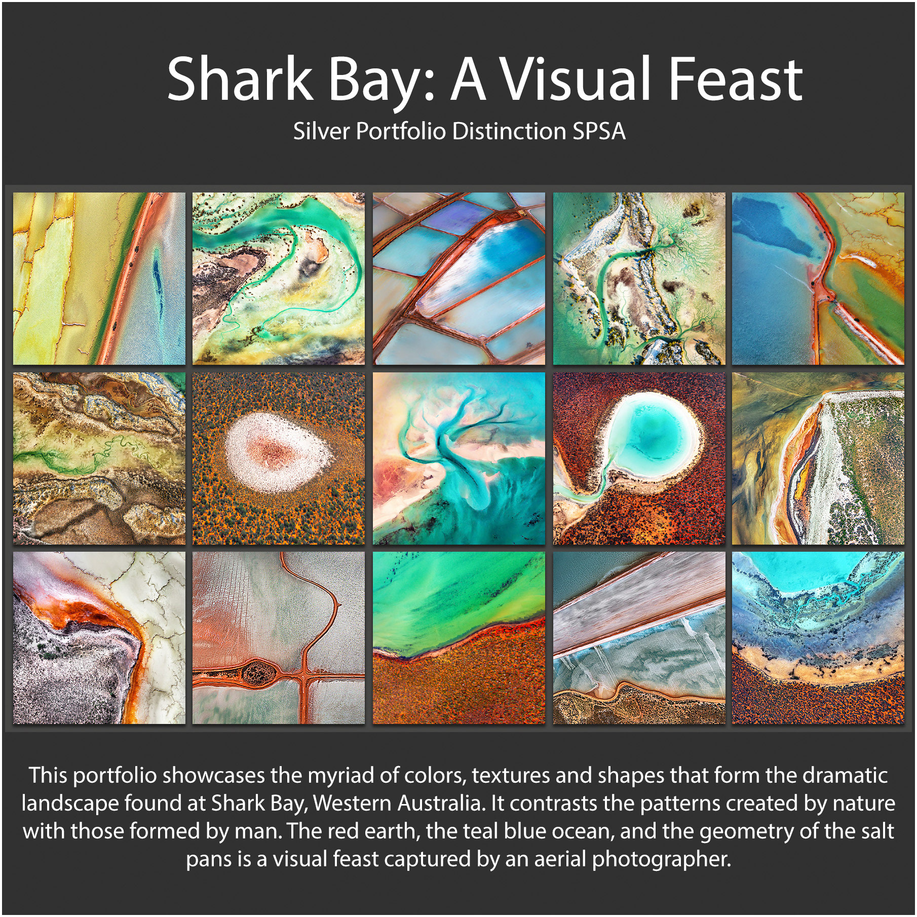 PSA Silver Portfolio Distinction