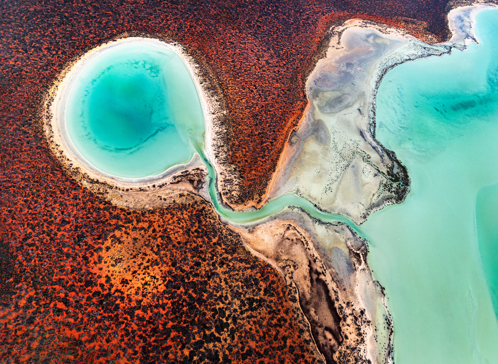 Blue Lagoon, Shark Bay