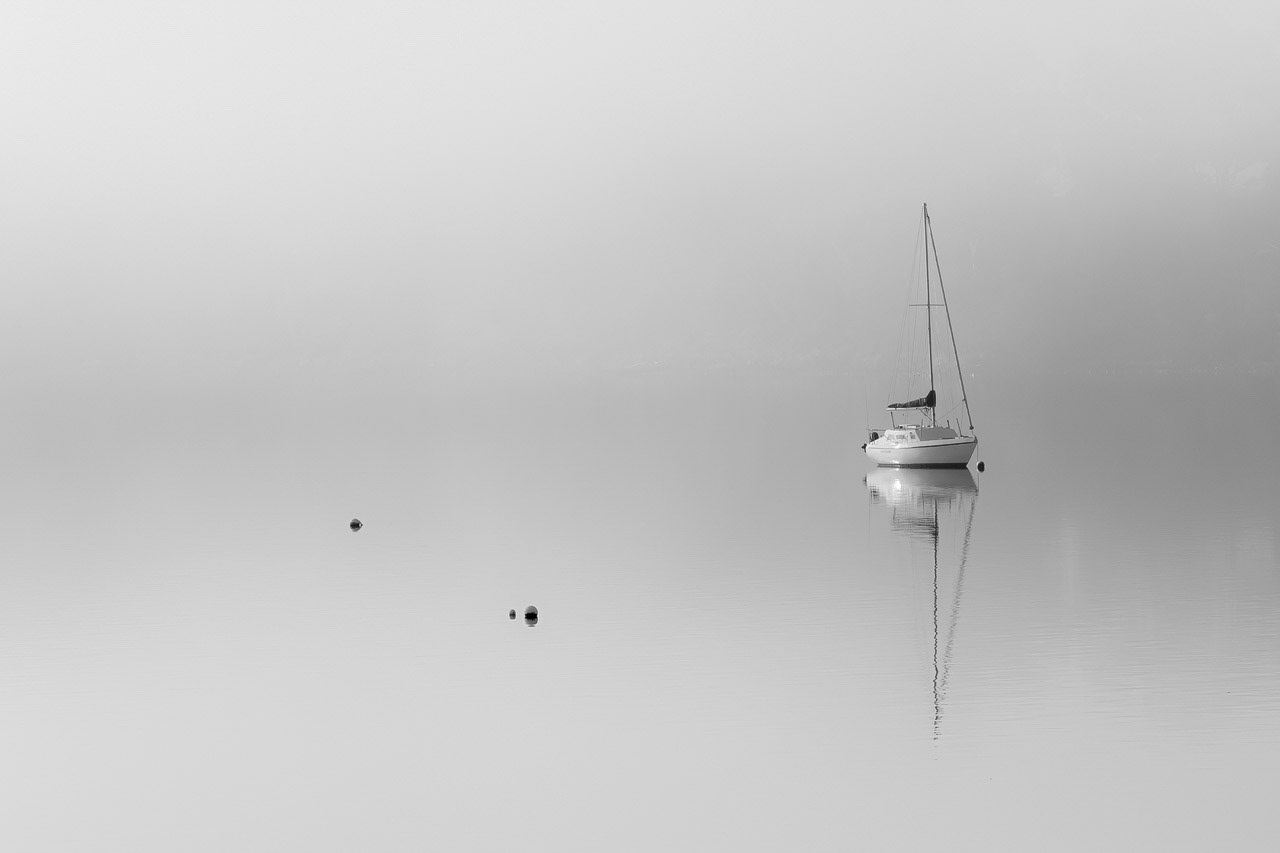 Misty Morning, Tasmania