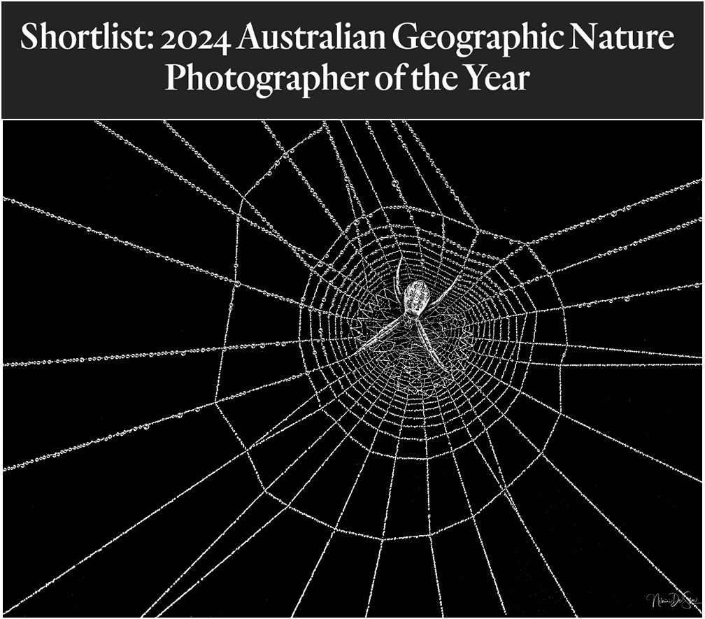 2024 AG NPOTY - Mono Category
