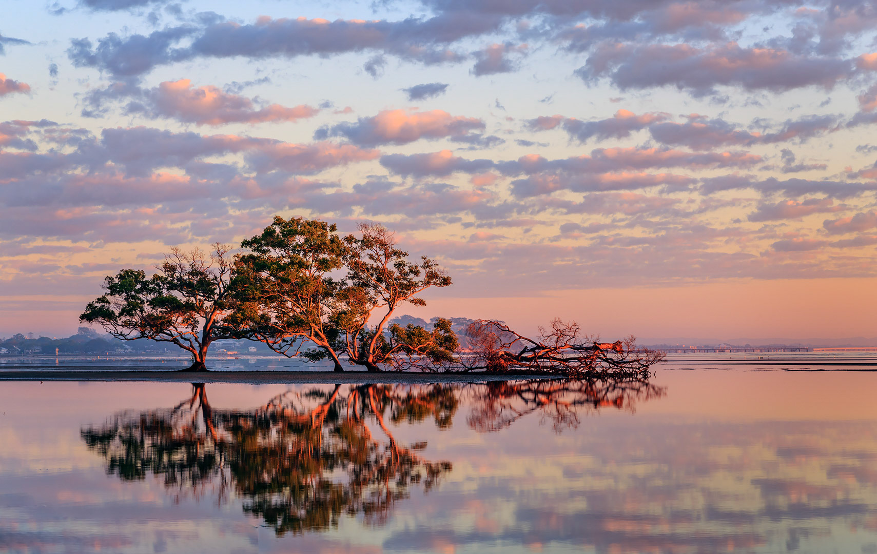 Sunrise Painting, Nudgee Beach