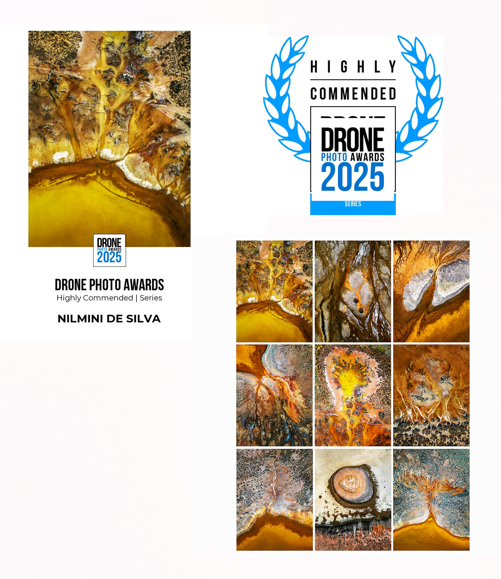 2025 Siena Drone Awards - Series