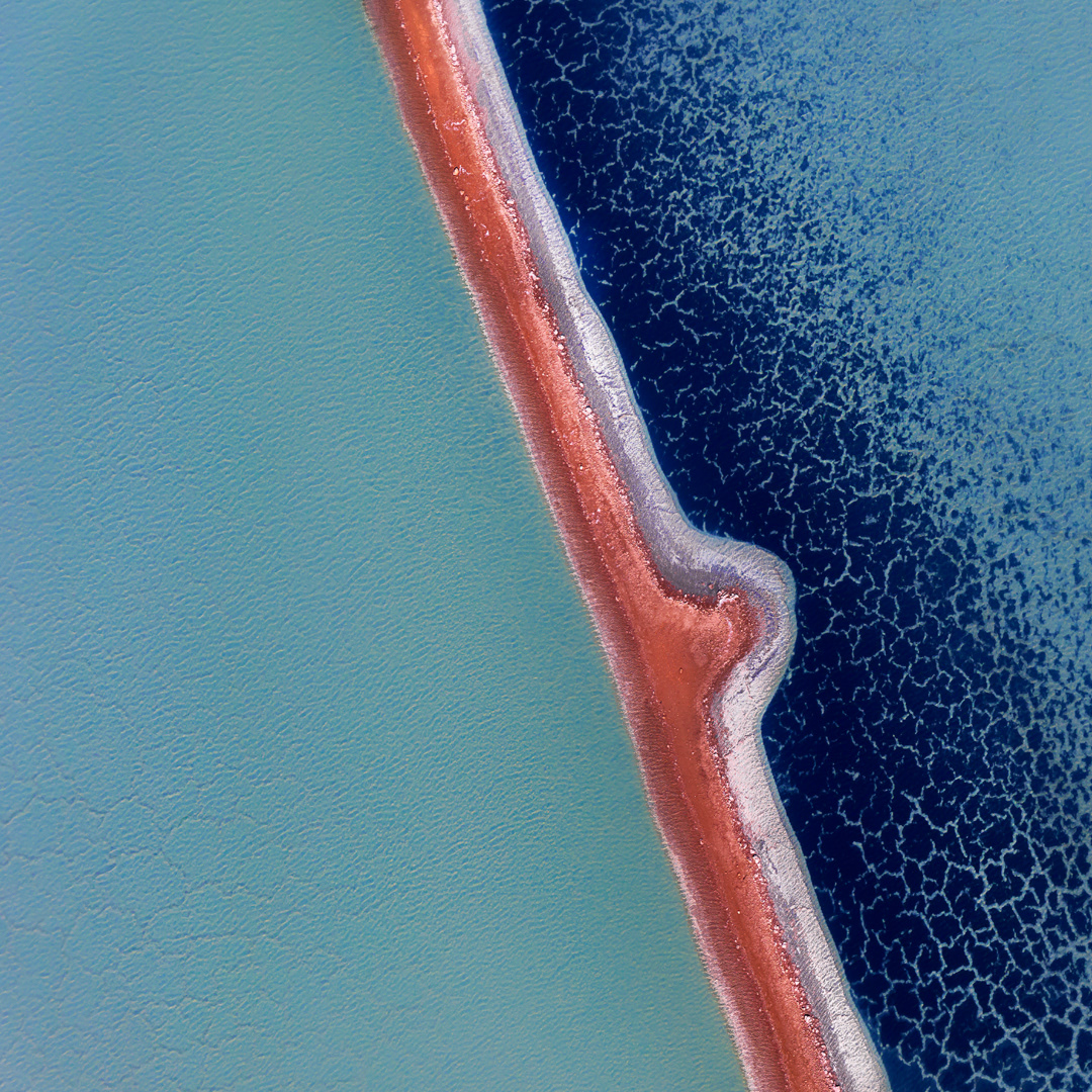 Adding Salt to a Wound, Shark Bay