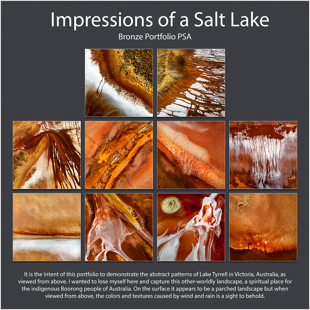 PSA Bronze Portfolio Distinction 2022