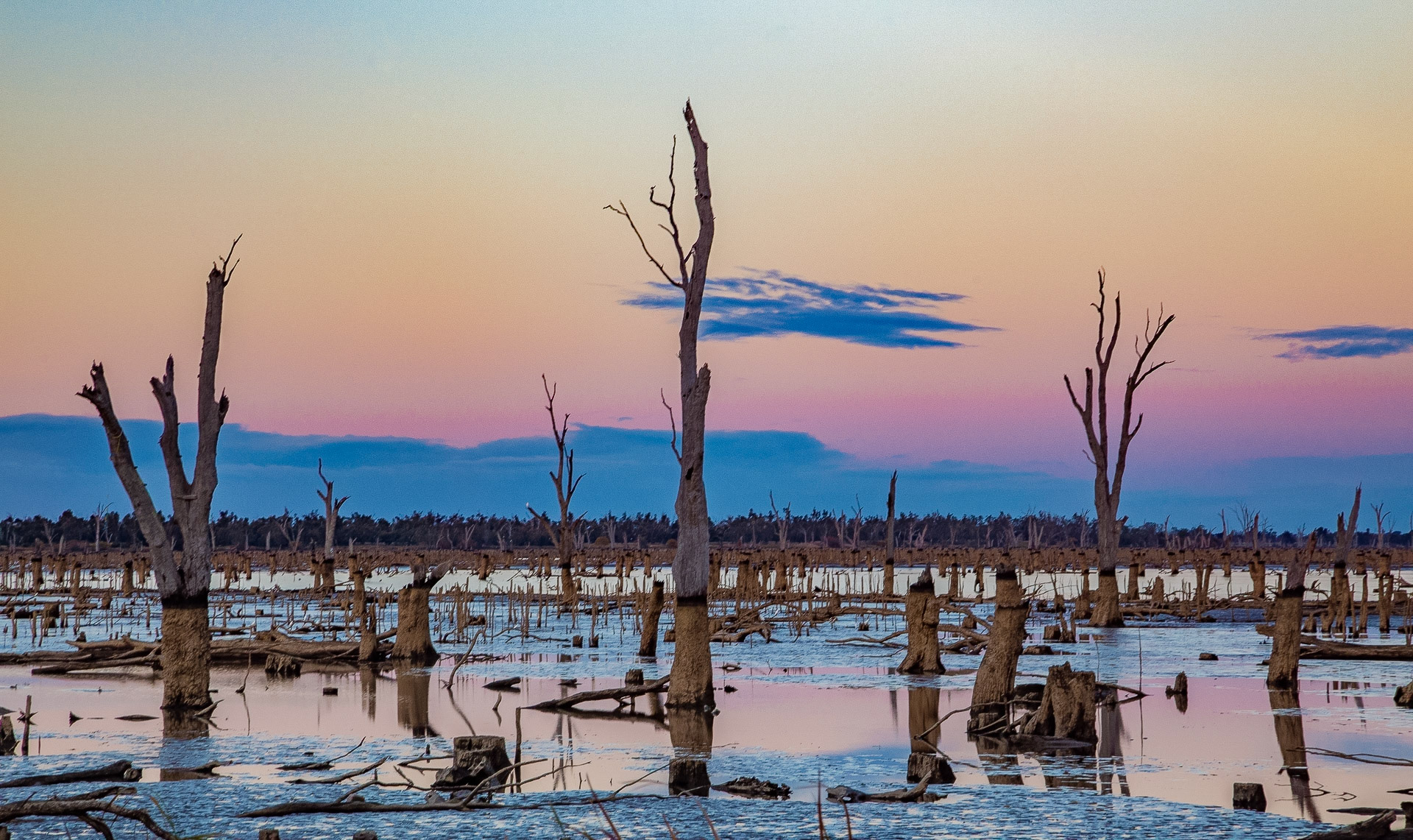 Stark Landscape, Lake Mulwalla