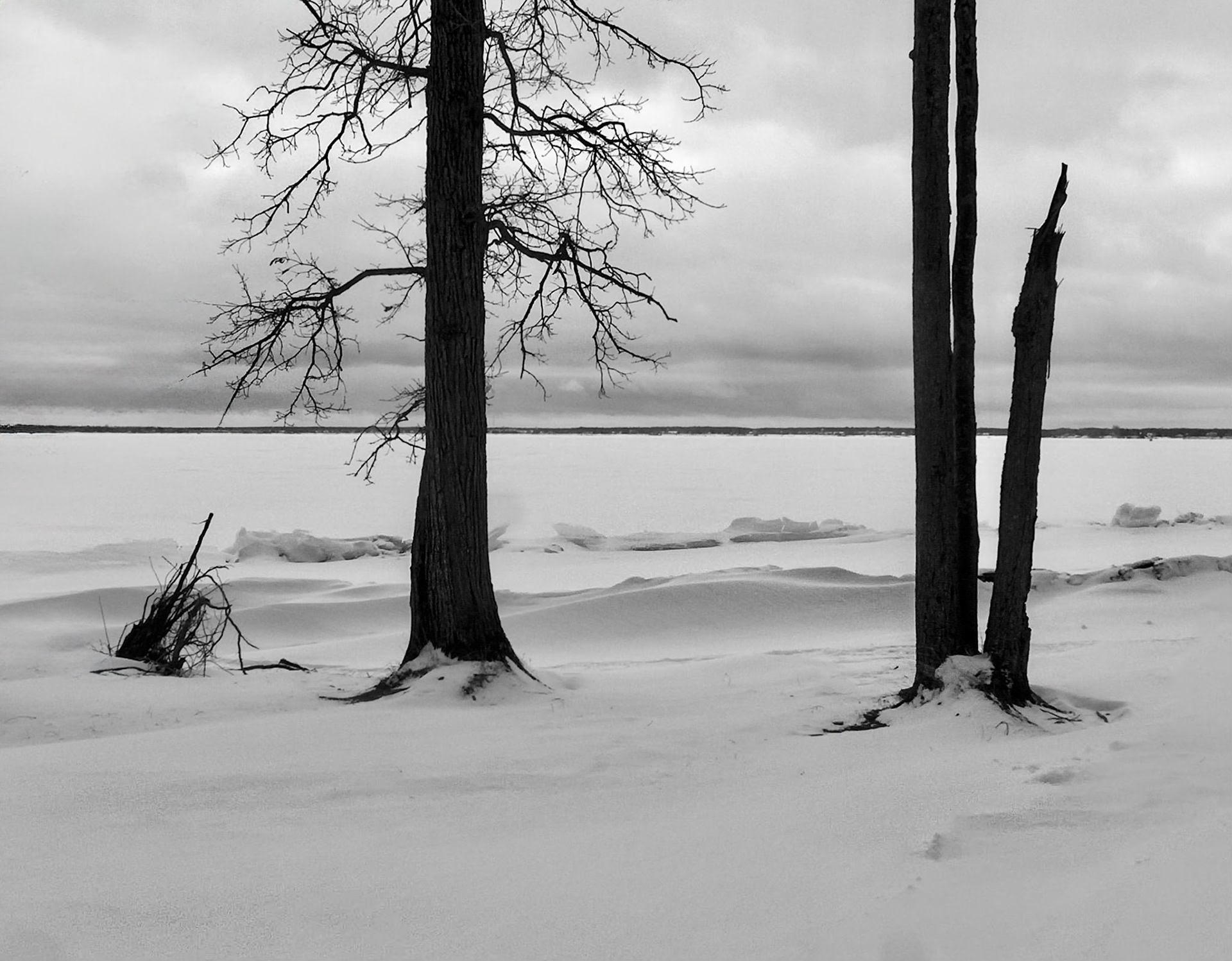 11371 Oka Park On the Lake