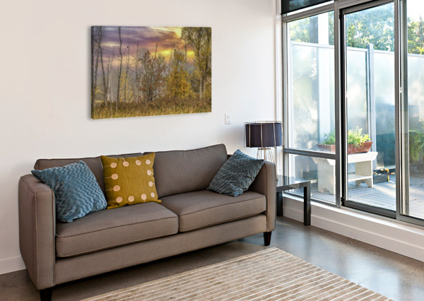 11341 Autaum Ile Bernard Chateauguay