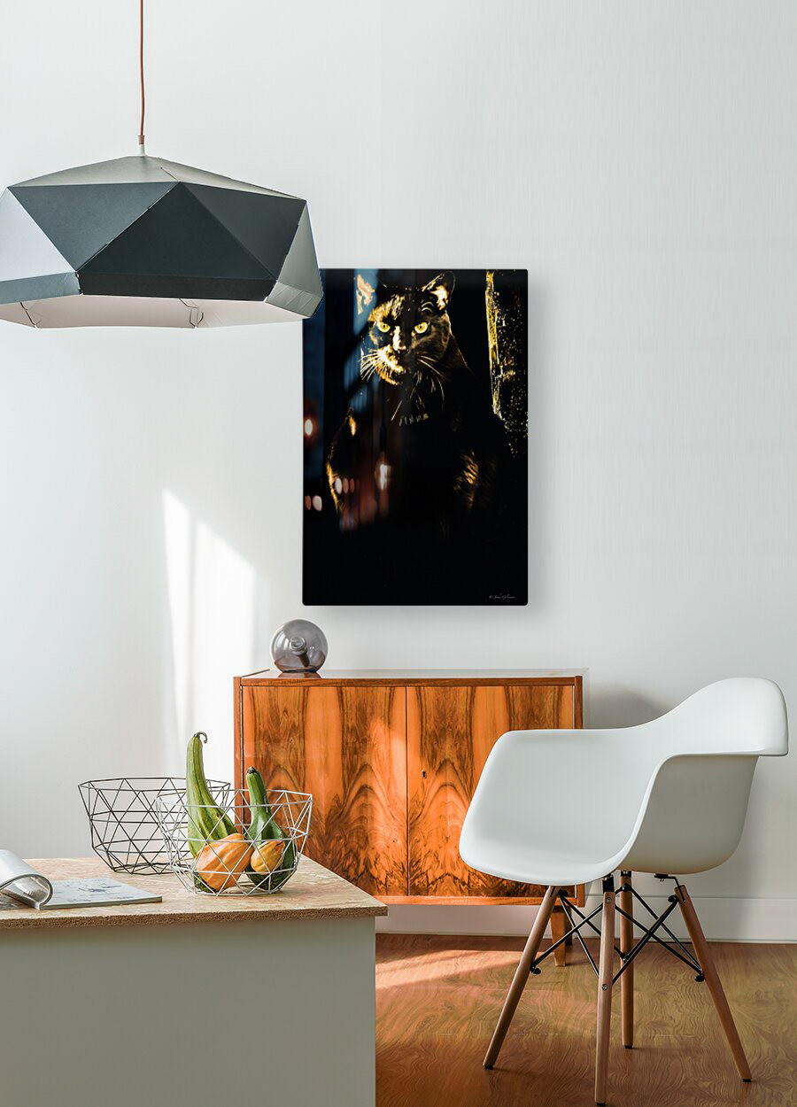Canvas 10367 MEET PAULI
